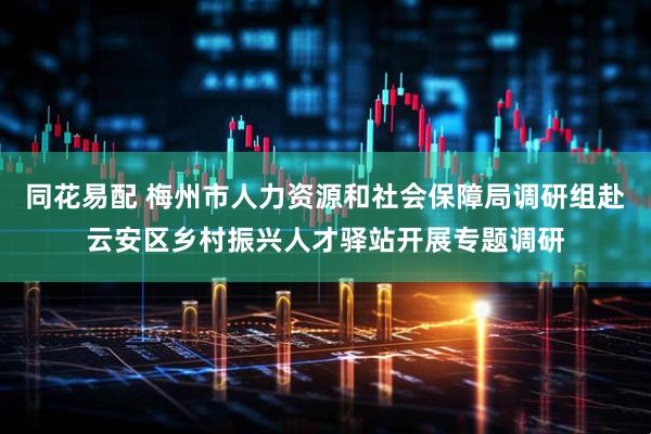 同花易配 梅州市人力资源和社会保障局调研组赴云安区乡村振兴人才驿站开展专题调研