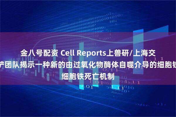 金八号配资 Cell Reports上兽研/上海交通大学丁铲团队揭示一种新的由过氧化物酶体自噬介导的细胞铁死亡机制