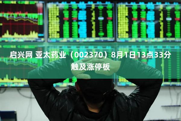 启兴网 亚太药业（002370）8月1日13点33分触及涨停板