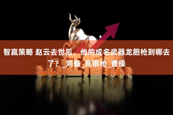 智赢策略 赵云去世后，他的成名武器龙胆枪到哪去了？_刘备_亮银枪_曹操
