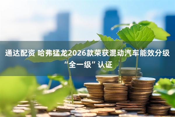 通达配资 哈弗猛龙2026款荣获混动汽车能效分级“全一级”认证