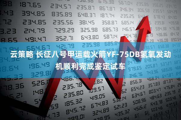 云策略 长征八号甲运载火箭YF-75DB氢氧发动机顺利完成鉴定试车