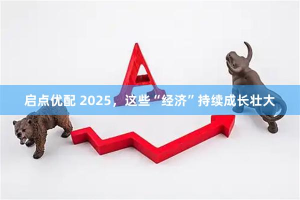 启点优配 2025,这些“经济”持续成长壮大