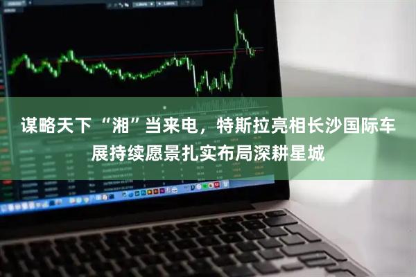 谋略天下 “湘”当来电,特斯拉亮相长沙国际车展持续愿景扎实布局深耕星城