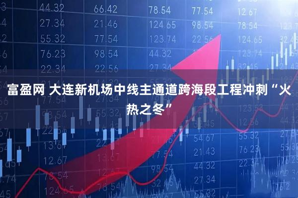 富盈网 大连新机场中线主通道跨海段工程冲刺“火热之冬”