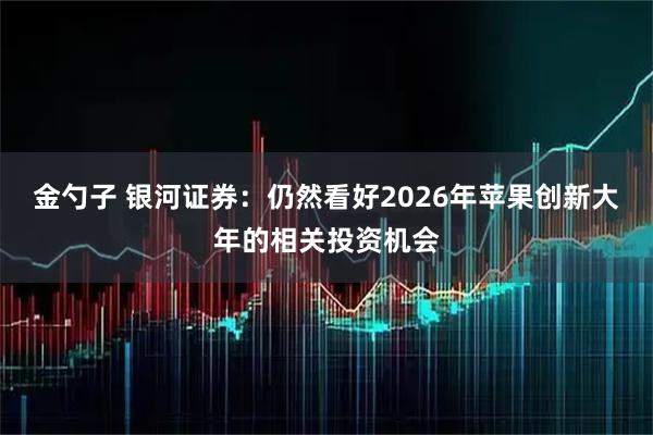 金勺子 银河证券：仍然看好2026年苹果创新大年的相关投资机会