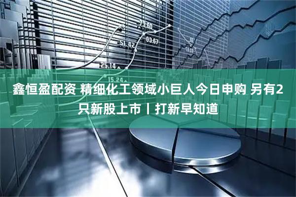 鑫恒盈配资 精细化工领域小巨人今日申购 另有2只新股上市丨打新早知道